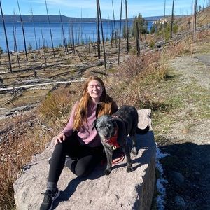 Meet your Posher, Madison